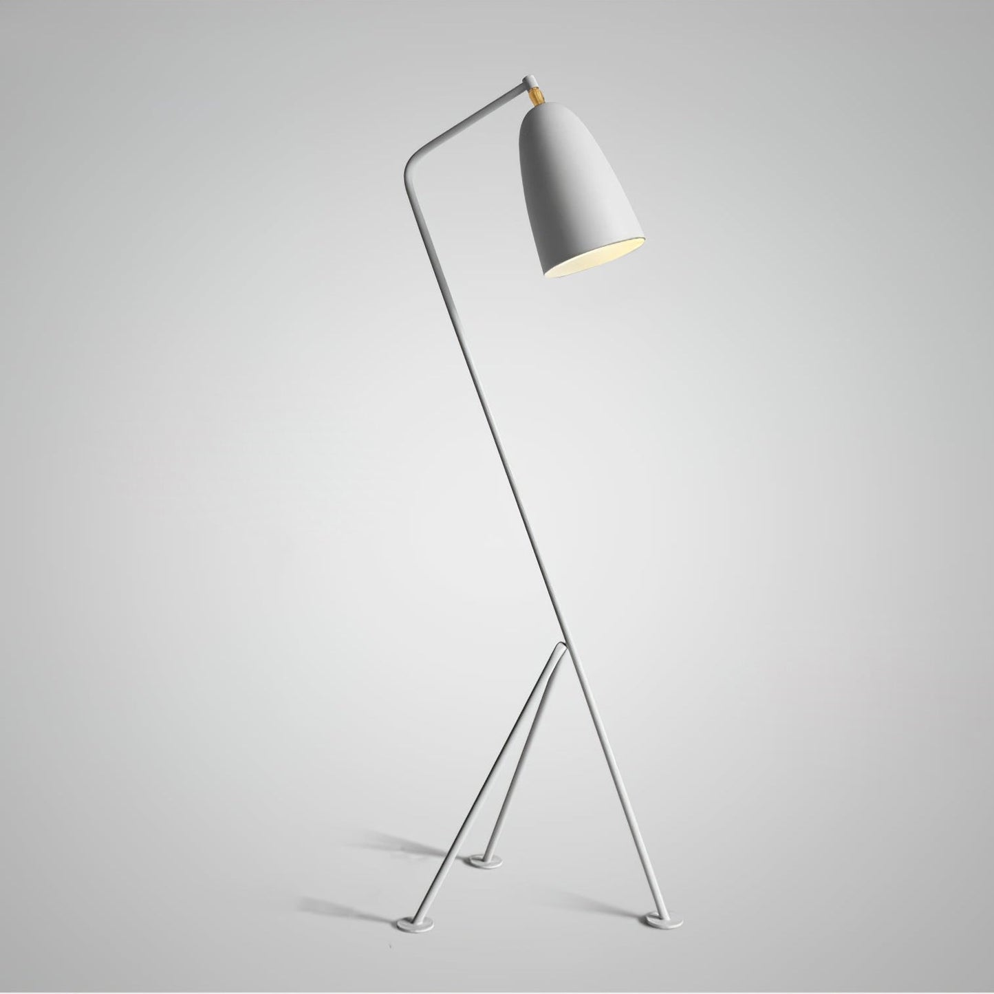 Lean Floor Lamp