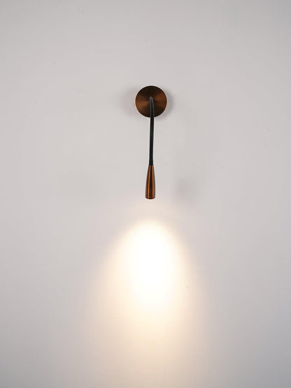Flexi Hose Plug-in Wall Light