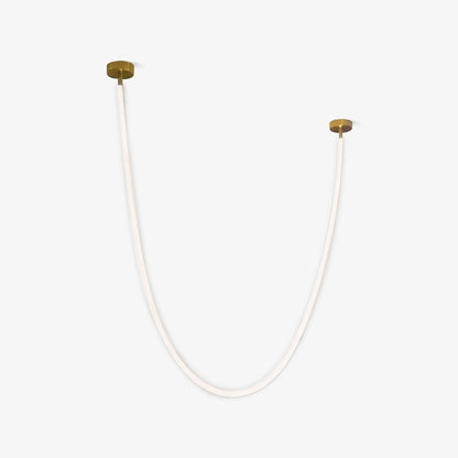Flexible Curve Pendant Lamp