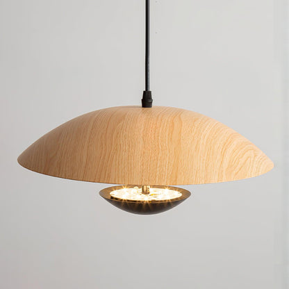 Frisbee Pendant Lamp