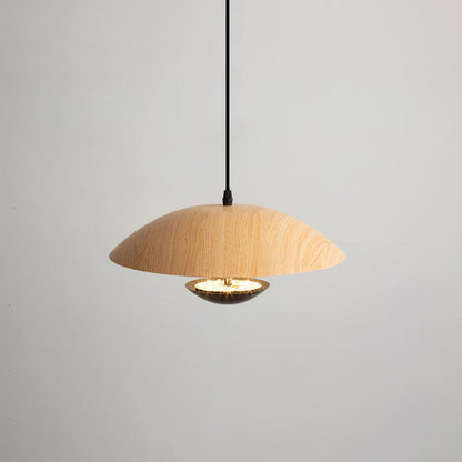 Frisbee Pendant Lamp
