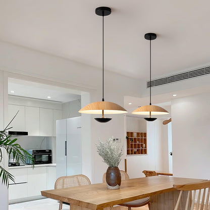 Frisbee Pendant Lamp