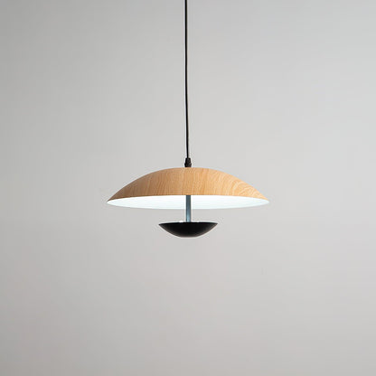 Frisbee Pendant Lamp