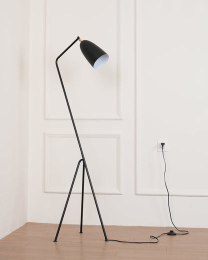 Grasshopper Floor Lamp