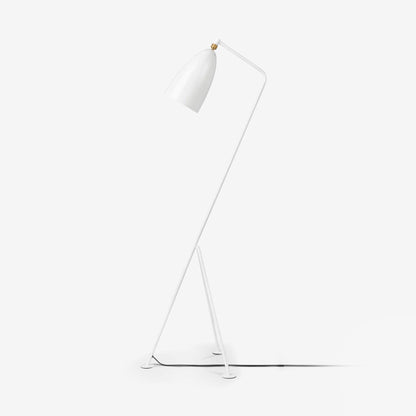 Grasshopper Floor Lamp